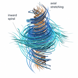 Diagram of a vortex made of blue, teal and orange streamlines spiralling inward around a vertical axis while stretching along it, annotated with the labels 'inward spiral' and 'axial stretching'.