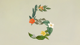 Claude Sonnet 5 announcement artwork: a botanical illustration of the numeral 5 formed from leaves and flowers on a pale green background
